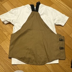 ワークマンベスト&ユニクロU白Tシャツの画像