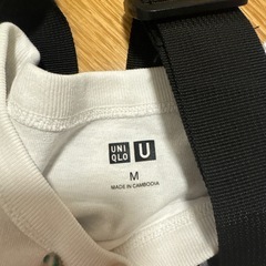 ワークマンベスト&ユニクロU白Tシャツの画像