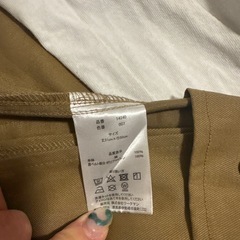 ワークマンベスト&ユニクロU白Tシャツの画像