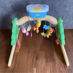 プーメリーの画像