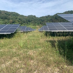 草刈りの事ならお任せください。