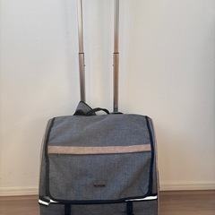 【美品】ペット用キャリーバッグ リュック 2WAY犬 猫 折りたたみ収納可の画像