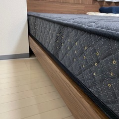 サータアリウム121 シングルベットの画像