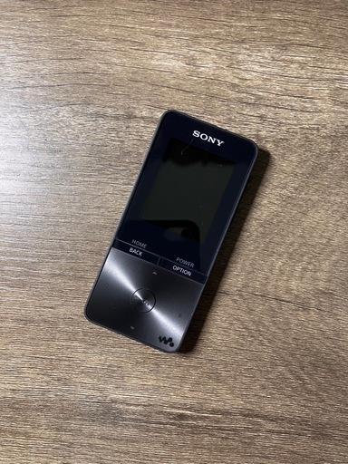 極美品 ソニー ウォークマン4GB NW-S313