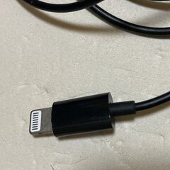★ライトニング用　マイク付きイヤホン★の画像