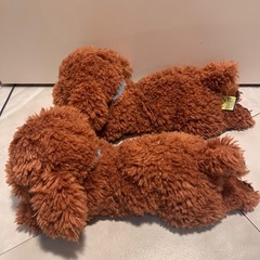 【かわいい】トイプードル　ぬいぐるみの画像