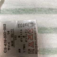 ピーターパンＴシャツの画像