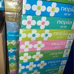 ネピアの画像
