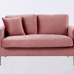 LOWYA 2人掛けベルベット調ソファ の画像