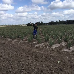 社会人コミュニティ