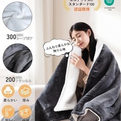 電気毛布 掛け敷き兼用 大判 190x130cm セミダブルの画像