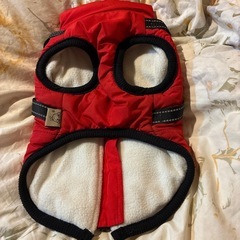 犬ダウン⭐︎の画像