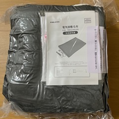 電気毛布 掛け敷き兼用 大判 190x130cm セミダブルの画像