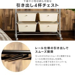 アイリスプラザ ハンガーラック ダブル 棚 収納ケース付き キャスター付き の画像