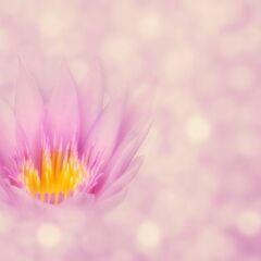 波動の仕組みを理解したい方