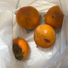 柿4個の画像