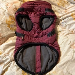 犬ダウン⭐︎の画像