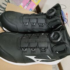 ミズノ安全靴の画像