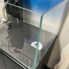 ガラス水槽ADA キューブガーデン W600×D450×H36セットの画像