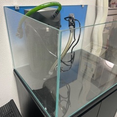 ガラス水槽ADA キューブガーデン W600×D450×H36セットの画像