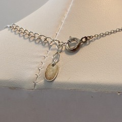 4℃ 馬蹄ネックレスの画像