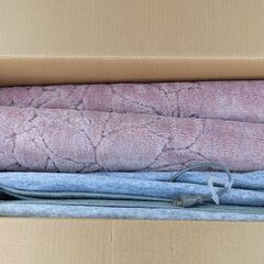 3畳タイプ　ホットカーペット　SHARP HJ-F30Gの画像