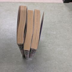 力王　RIKIOHの画像