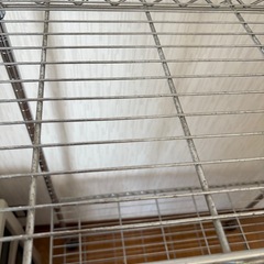 至急‼️19日まで　スチールラックの画像