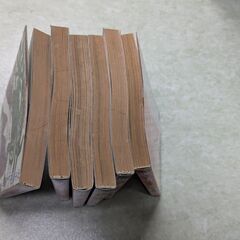 哭きの竜　なきのりゅうの画像