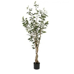 150cm フェイクグリーン 観葉植物の画像