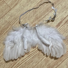 【美品】天使コスチュームの画像