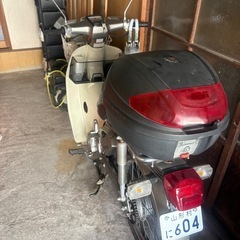 再投稿角目カブの画像