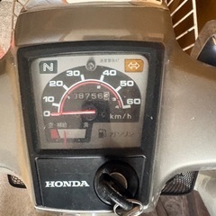 再投稿角目カブの画像