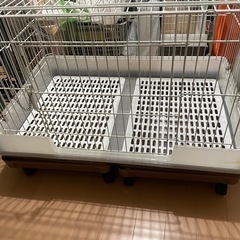 うさぎゲージの画像