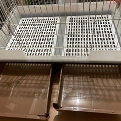 うさぎゲージの画像