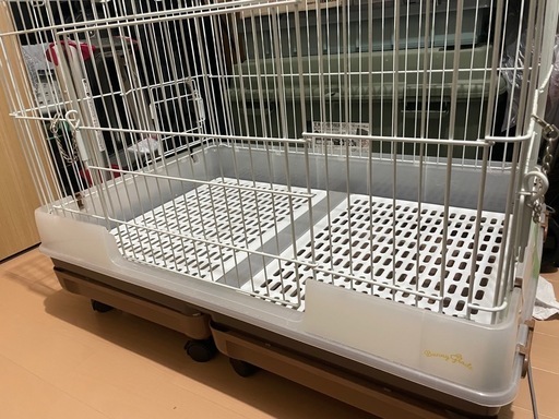 うさぎゲージ