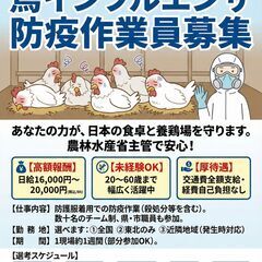 ８Ｃ★茨城県日立市★未経験可【2026.3月頃迄】農場清掃作業の画像