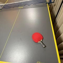 国際規格 卓球台（値下げしました！¥15,000 → ¥8,000）の画像