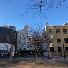 【気長に募集】気軽なキャッチボール相手欲しい…