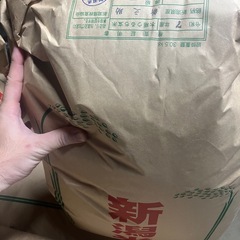 令和7年産新之助の画像