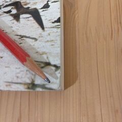 『朝日旅の百科　海外編　アフリカⅣ　マダガスカル／モーリシャス／セーシェル／レユニオン／コモロ諸島／アフリカ各国要覧』朝日新聞社の画像