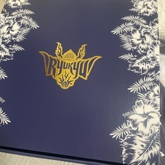 ✨琉球キングス2025〜2026 XLの画像