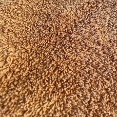 特大タオル！86×160の画像