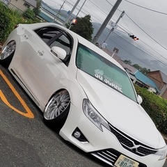 H24年式 トヨタ マークX 中期 Premiumの画像