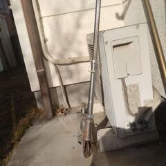 スケド―ドボウドの画像