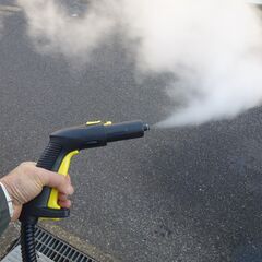 Axfive スチームクリーナーの画像