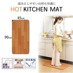 フローリング調　ホットカーペットの画像