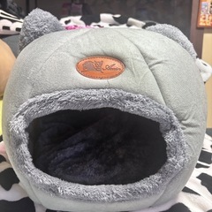 子猫用ご飯とキャットハウスの画像