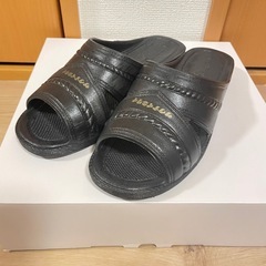 【美品】サウナイキタイ　ベンサンブラックの画像