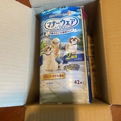 マナーウェアM 42枚　未開封の画像